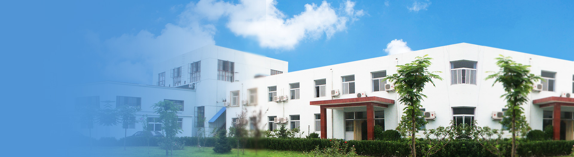 良好的戰略合作關系